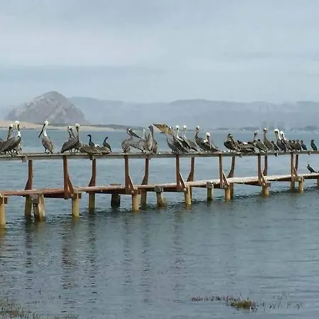 Pelican Place In Morro Bay Exterior photo