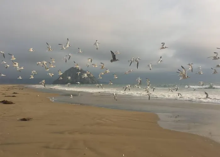 Pelican Place In Morro Bay