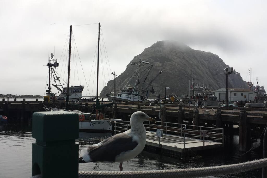 Pelican Place In * Morro Bay